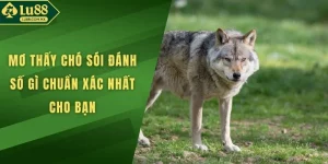 Mơ Thấy Chó Sói Đánh Số Gì Chuẩn Xác Nhất Cho Bạn
